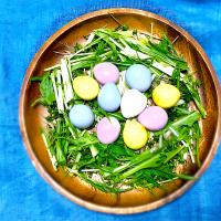 ライトブルー桜2023 カラフルピクルスでHappy Easter🪺