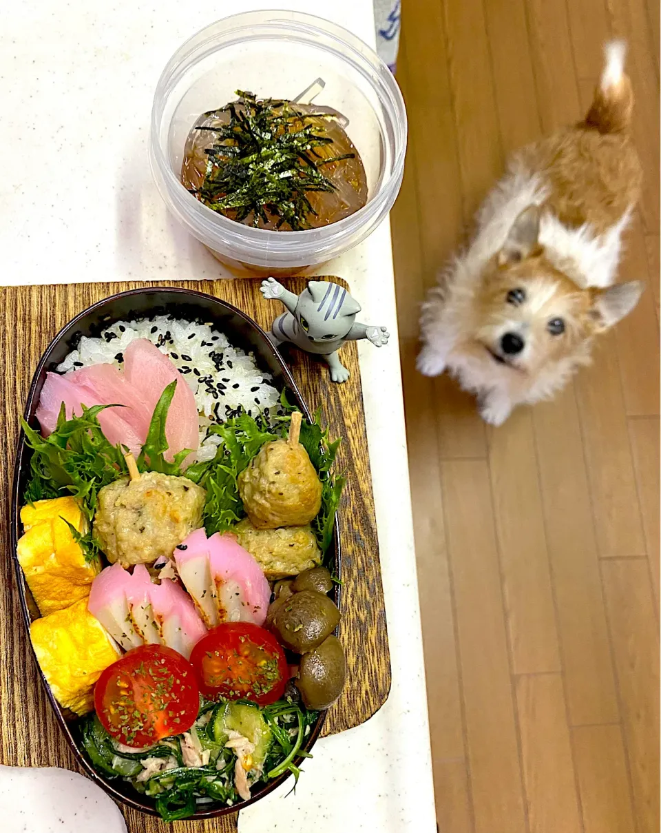 Snapdishの料理写真:つくね弁当|cafe3733さん