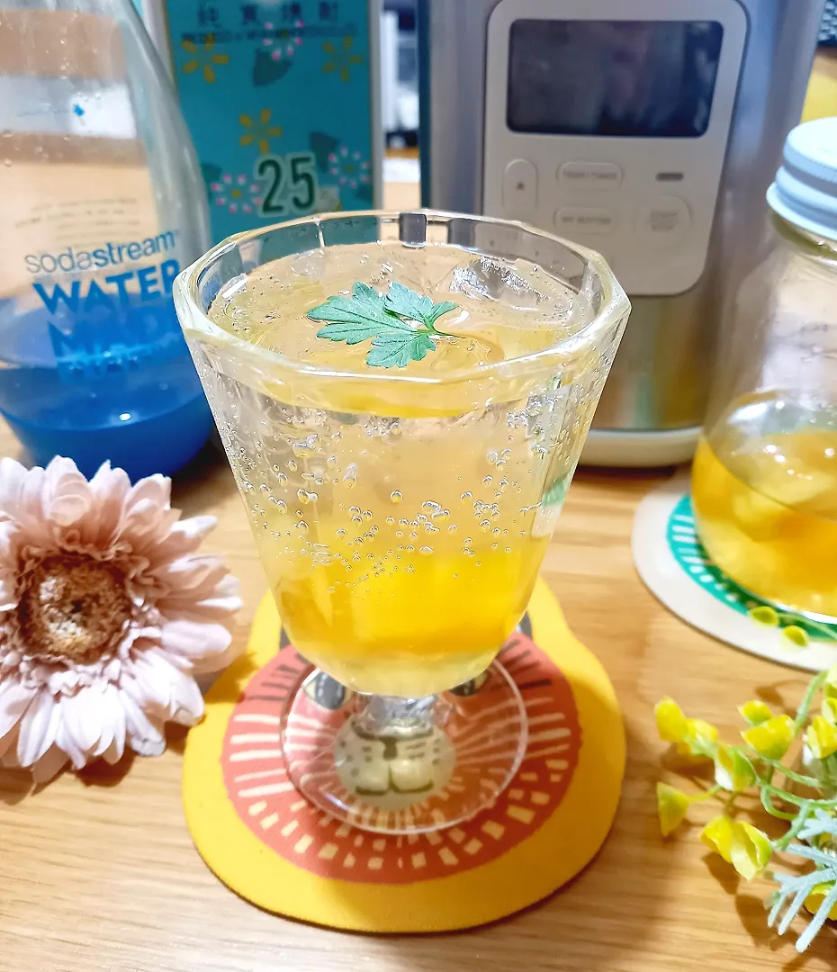 Snapdishの料理写真:パイナップルビネガー🍍
手作り美酢で焼酎割り|ナオミさん