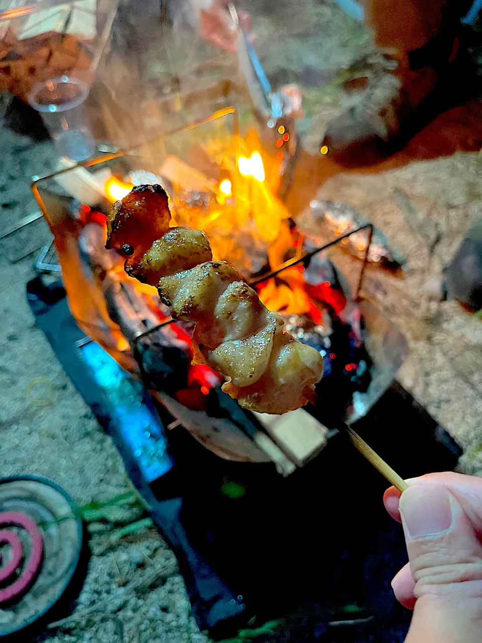 ぼんじり⛺️|ちぃさん