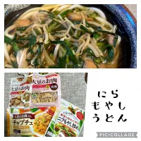 大豆ミートのニラもやしうどん|りえわんこさん