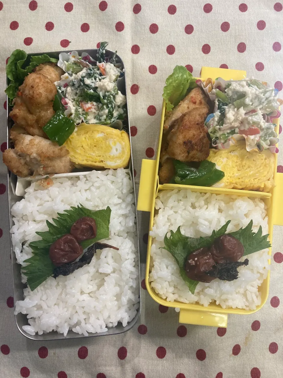 4月5日 曇天〜雨天弁当🍱|sakuramochiさん