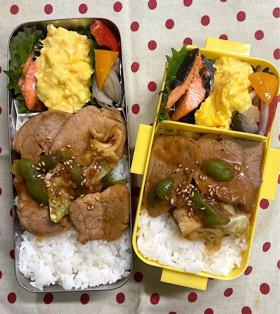 Snapdishの料理写真:4月6日 今日も荒天☔️ 弁当🍱|sakuramochiさん