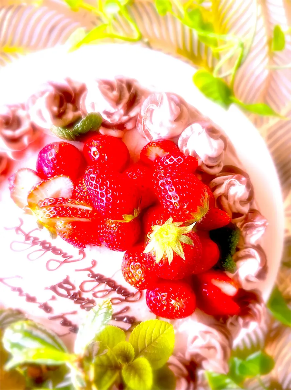 🍓Chocolate　cake🍓|U・x・Uchokoさん