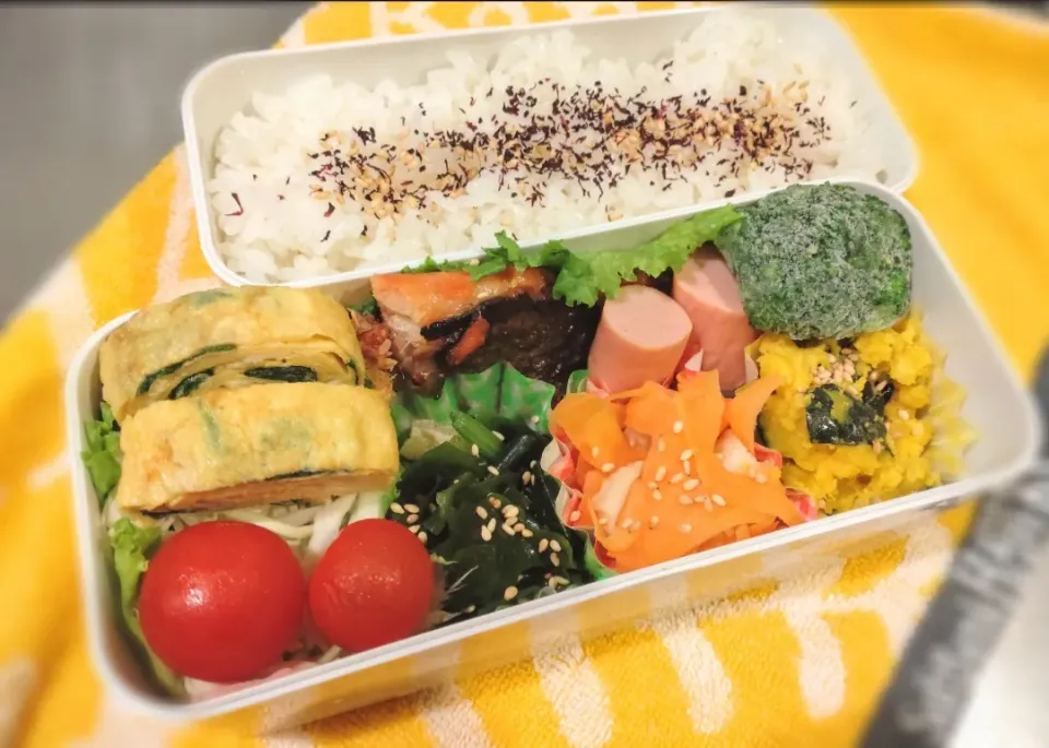 4月7日 今日のお弁当|ビアンカさん