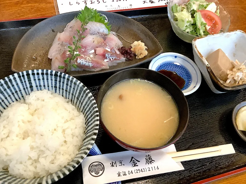 今日も来てしまった割烹金藤『鯵のお刺身定食』🐟😋|アライさんさん