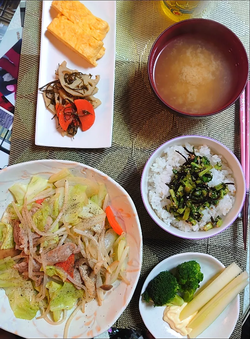 疲れ切った日は野菜炒めで夕ご飯🍴|ポチさん