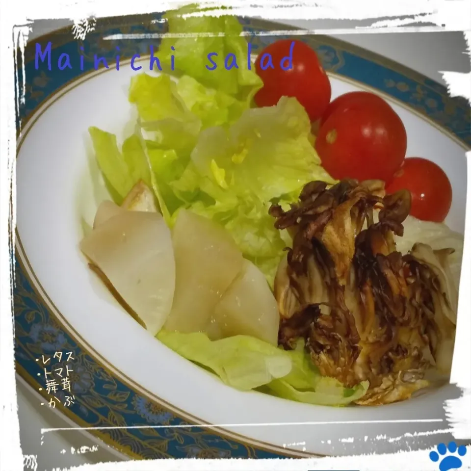 まいにちサラダ|osanpowankoさん