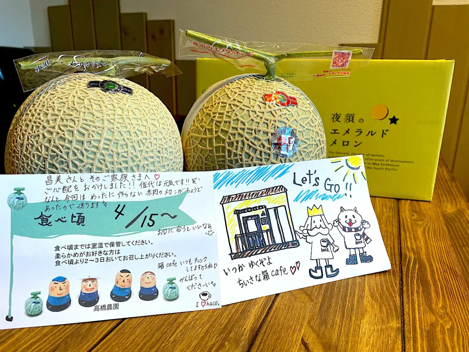 つるにカバーがかかってちるメロンなんて初めてですよーーーっ😱|maSami＊さん