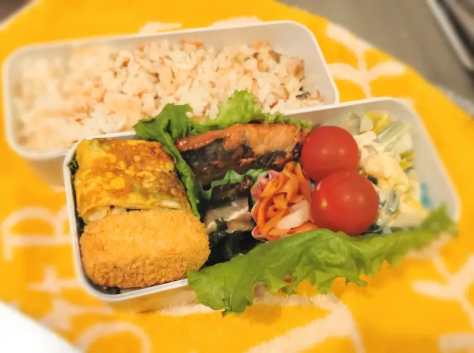 4月10日 今日のお弁当|ビアンカさん