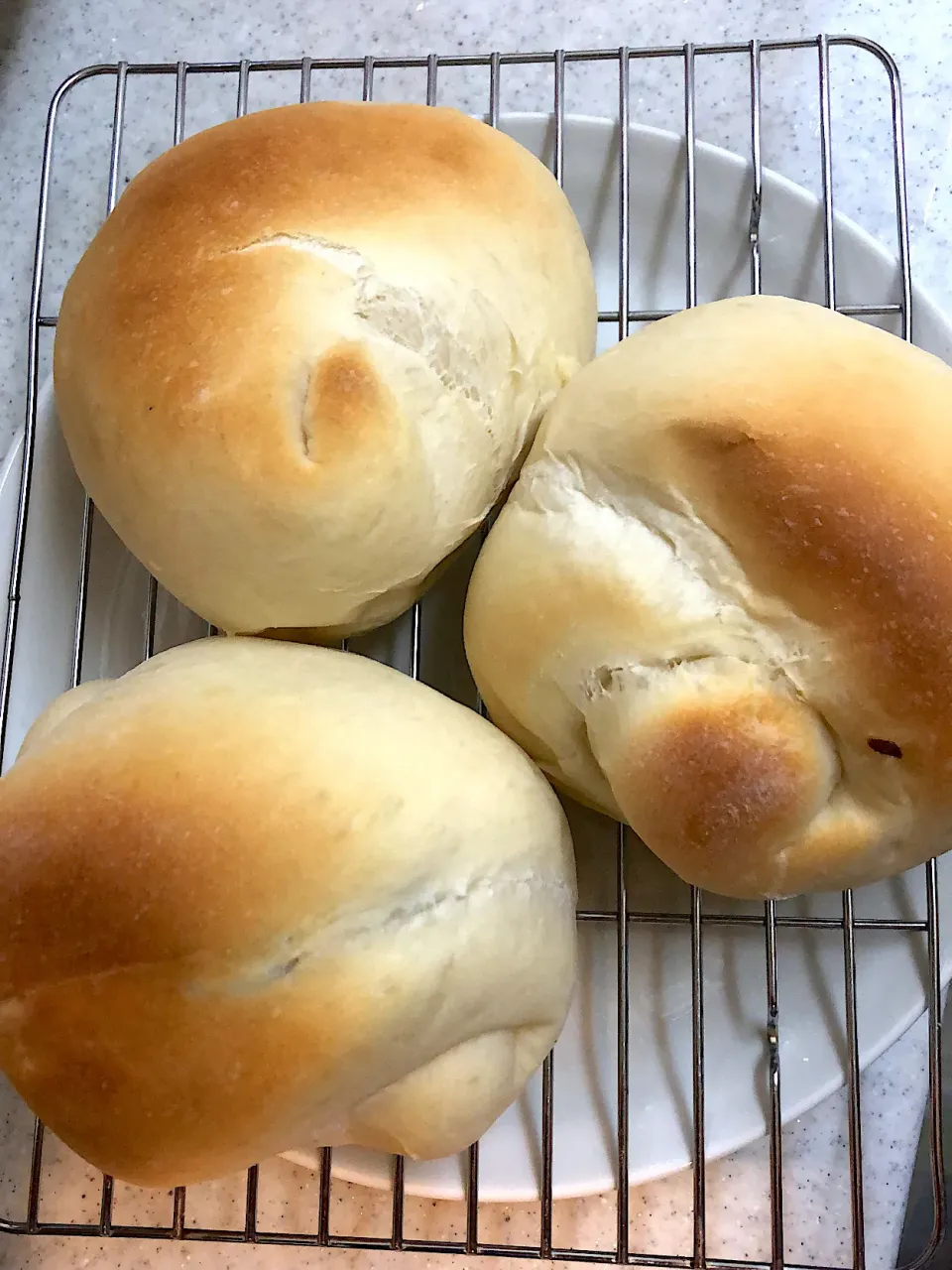 パン焼き上がり、今日はプルーン系ドライフルーツ|masaさん