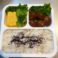 Snapdishの料理写真:今日のお弁当　大学生娘ちゃん(^-^)|sakuhimaさん