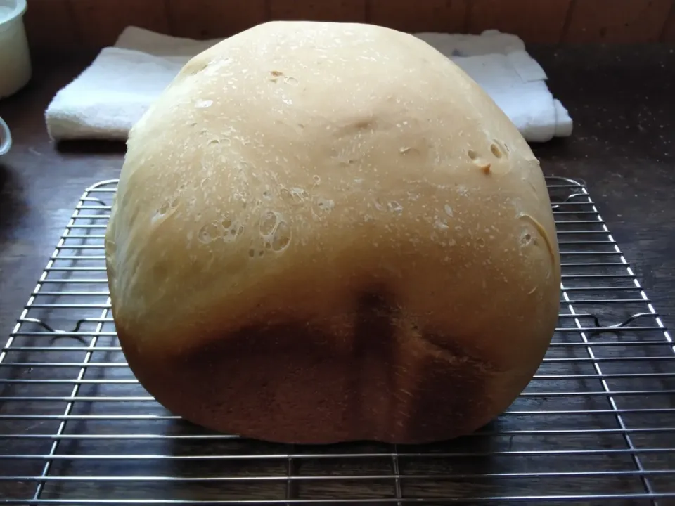 Snapdishの料理写真:プレーン食パン🍞|にんにくと唐辛子が特に好き❤️(元シャリマー)さん