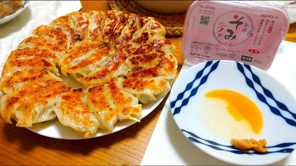 4/11の夕食
手作り餃子🥟|卯月さん