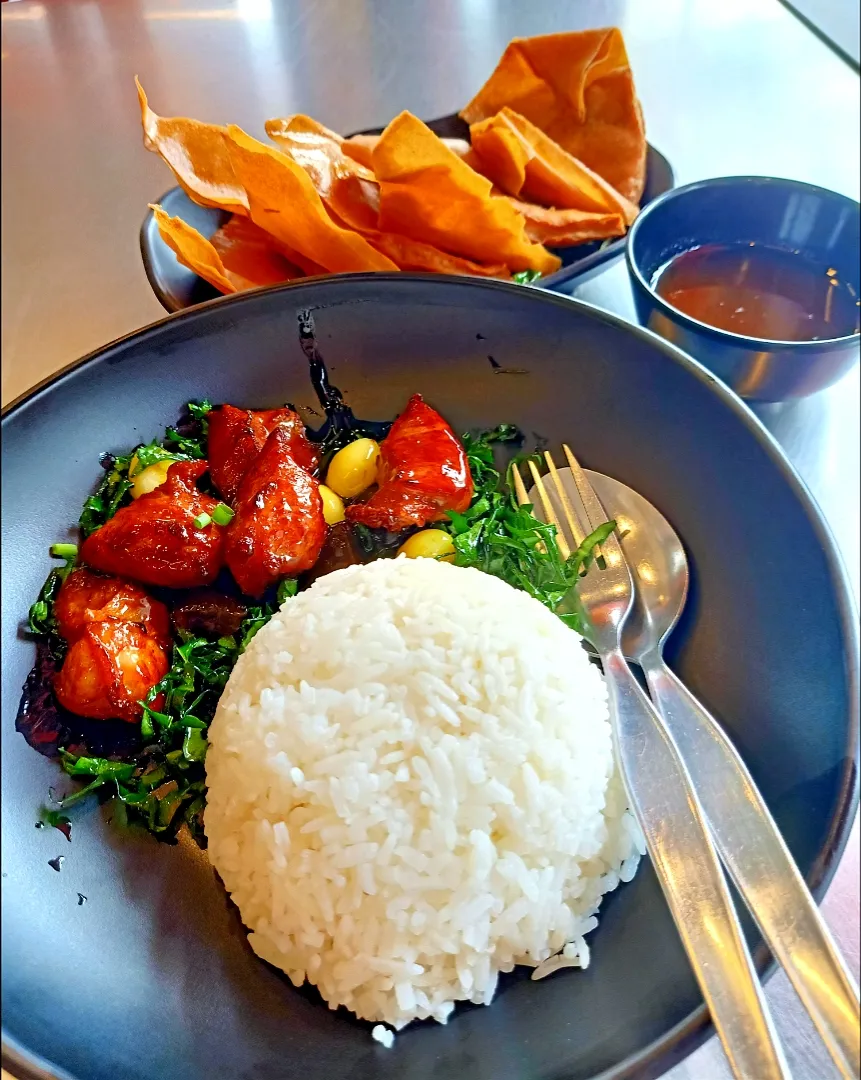 Stir-fried Sweet Pork on Rice & Crispy Chicken Wonton 🥰|An'leeさん