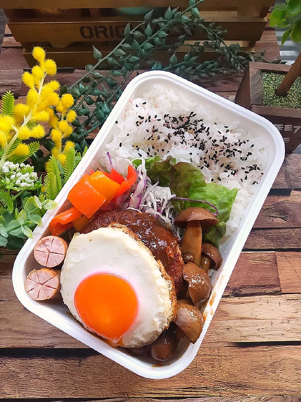 ハンバーグ弁当🍱|クータンさん