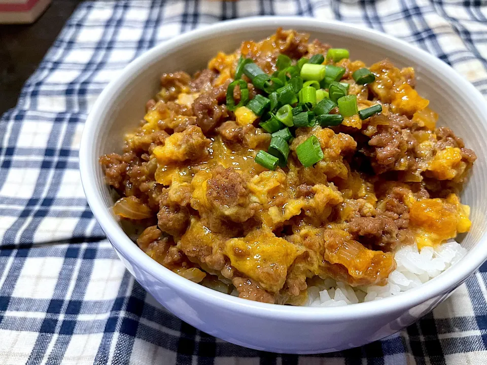 甘辛そぼろの卵とじ丼|ハルさん