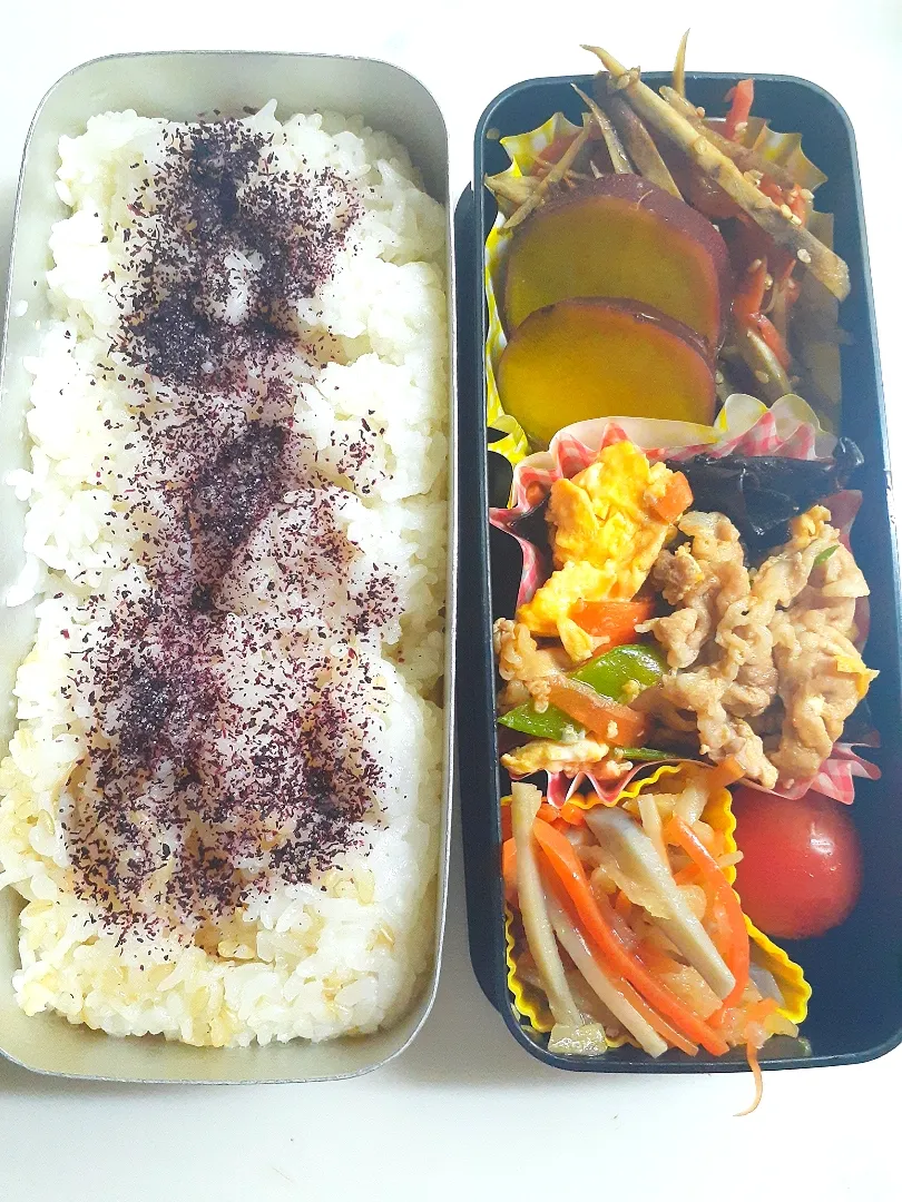 Snapdishの料理写真:☆中学生弁当☆玄米入りゆかりごはん、金平牛蒡、薩摩芋レモン煮、木須肉、切干大根、ミニトマト|ｼｮｺﾗさん