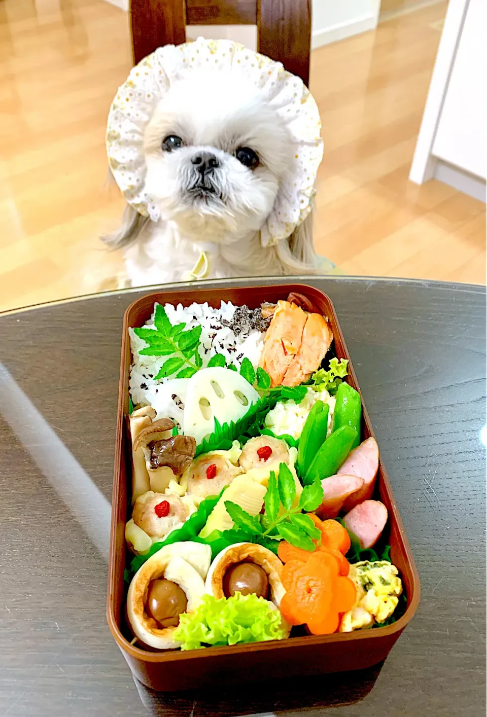 ４月14日　プクパパお弁当|プクママさん