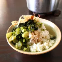 阿蘇高菜の新漬け