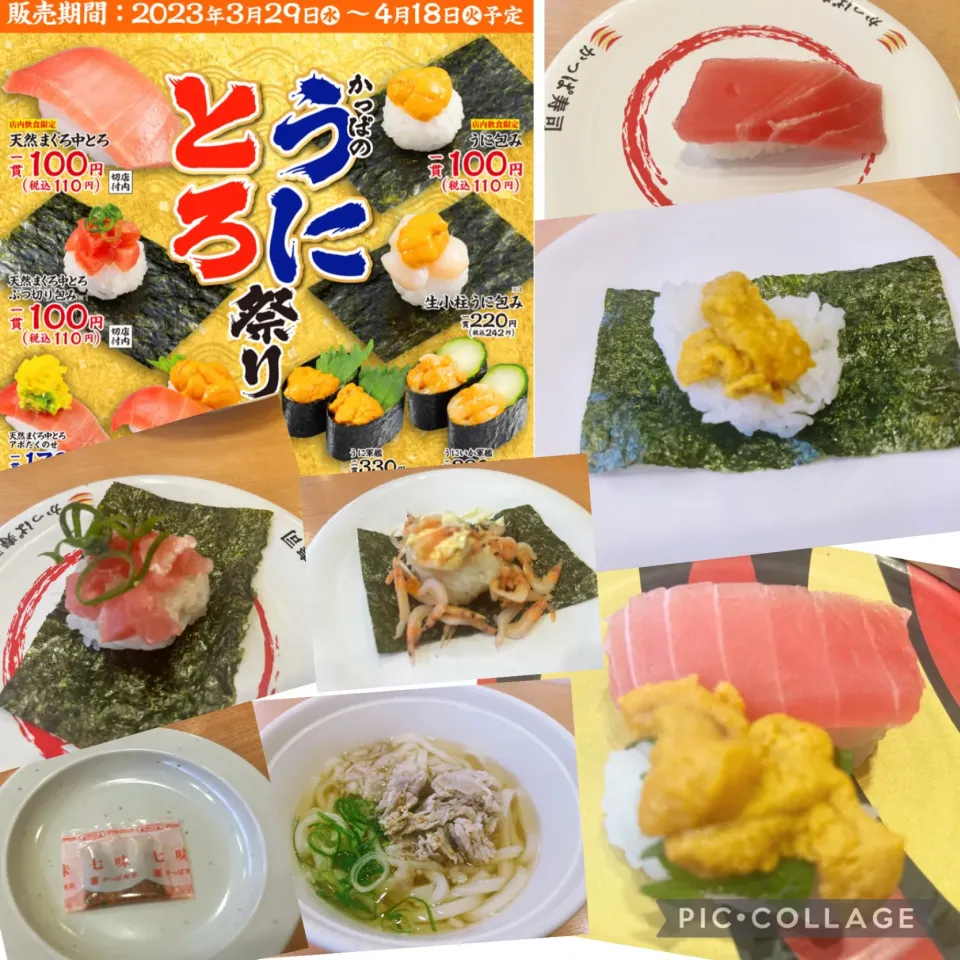 Snapdishの料理写真:今日の晩ごはん　230416|Qさん