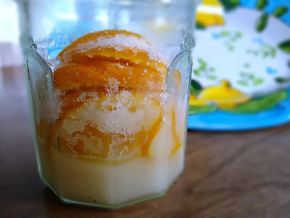 塩レモン|古尾谷りかこさん