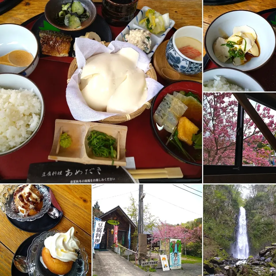 豆腐料理を食べに雨滝へ|うたかた。さん