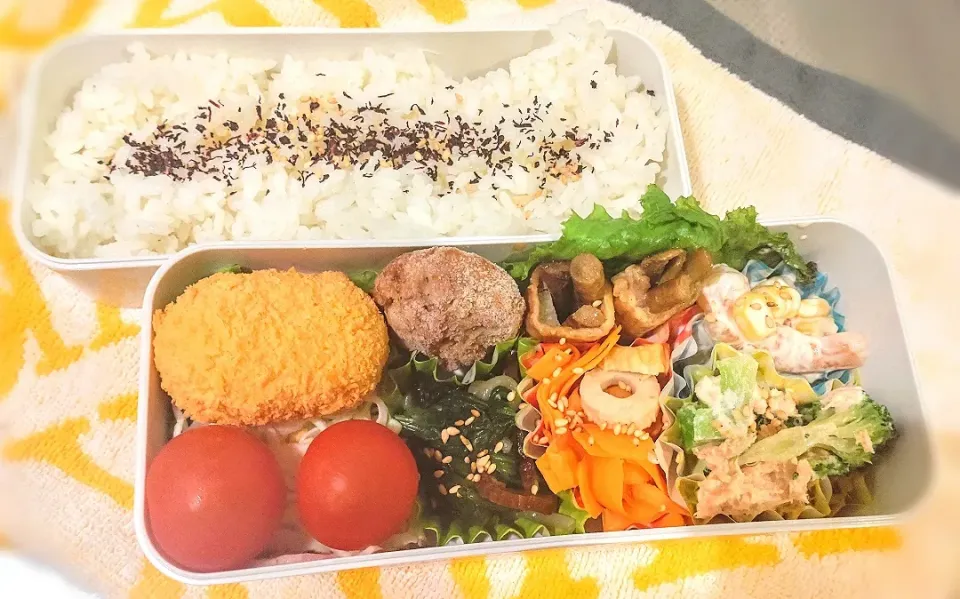 4月18日 今日のお弁当|ビアンカさん