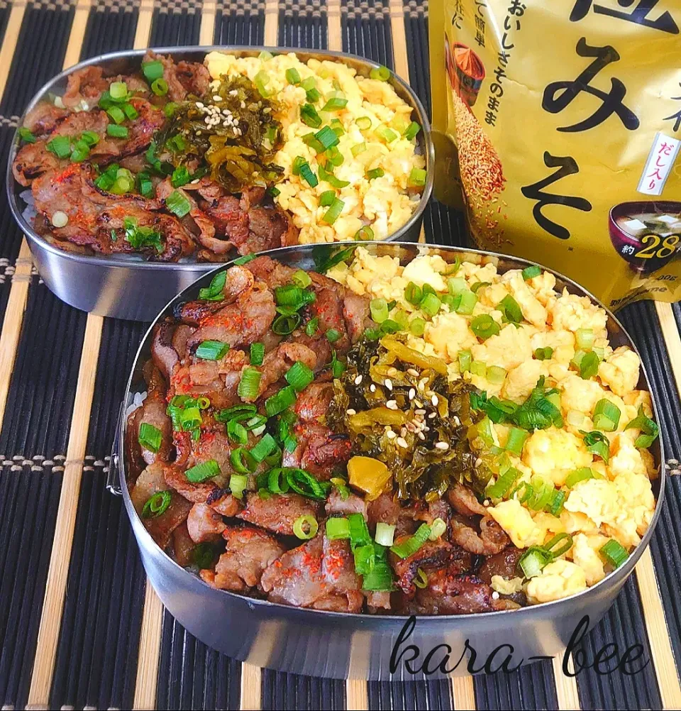 母とムスコのラブラブおソロ♪香ばし炙り味噌豚どーん弁当|からあげビールさん