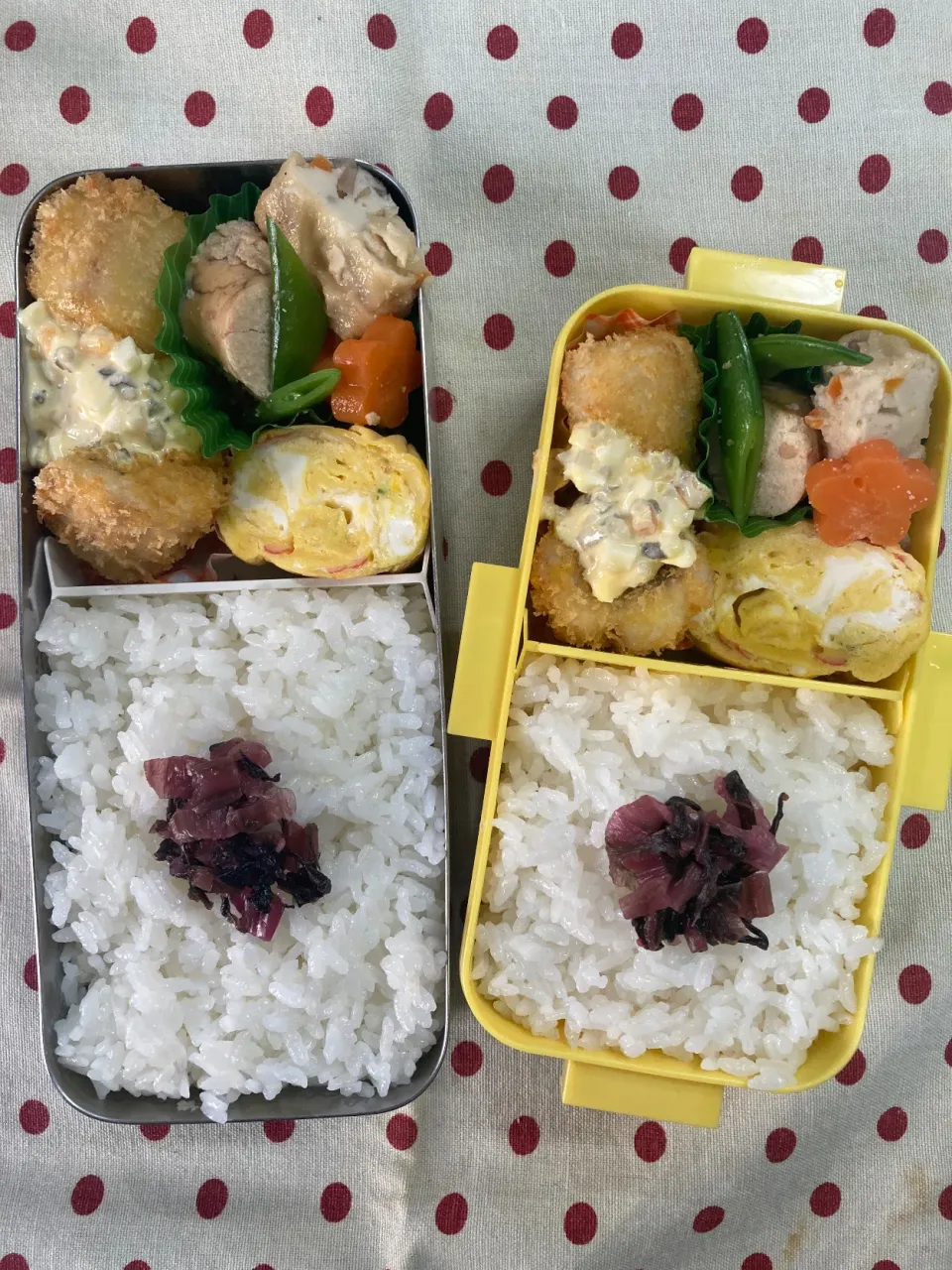 Snapdishの料理写真:4月18日 晴れの日弁当🍱|sakuramochiさん