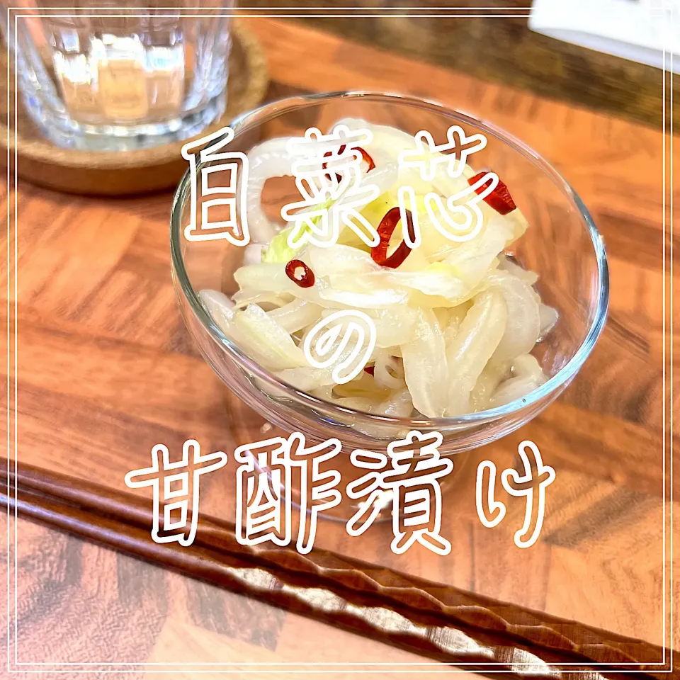 白菜芯の甘酢漬け|豆の種～1人暮らしのご飯～さん