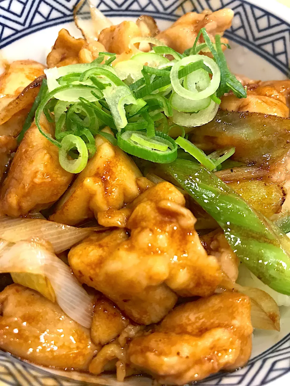 Snapdishの料理写真:焦がしねぎ焼き鳥丼|saturnさん