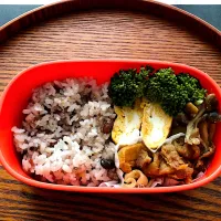 Snapdishの料理写真:☺︎今日のお弁当☺︎|まあささん