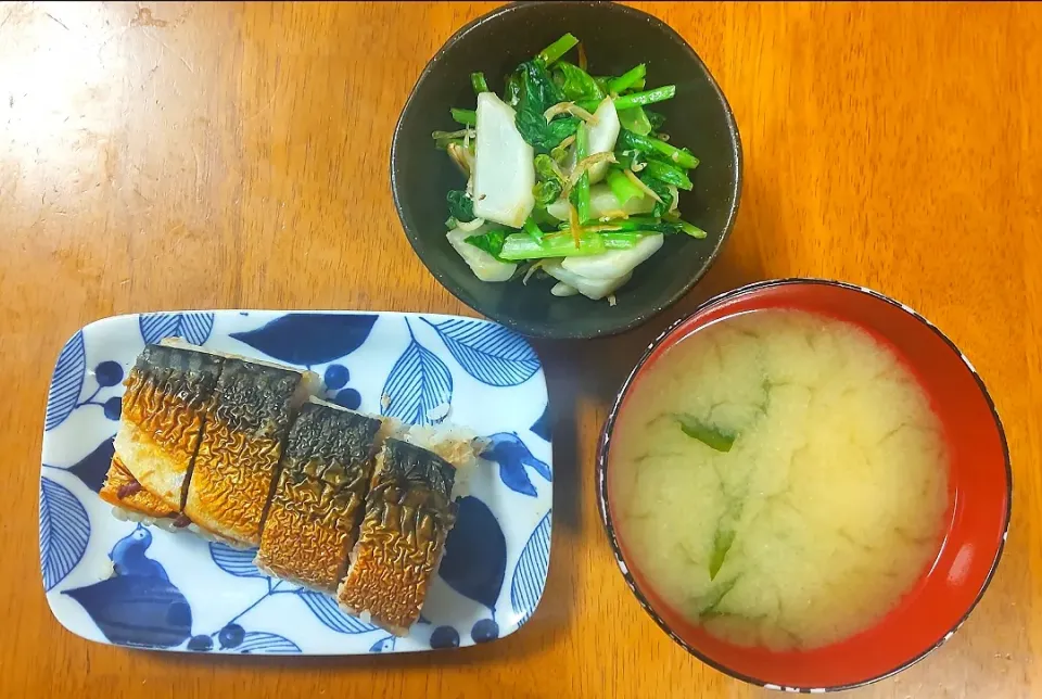 2023 0416　焼き鯖の押し寿司　しらすとかぶのガーリックソテー　豆腐とわかめのお味噌汁|いもこ。さん