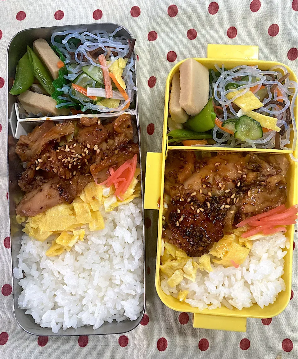 Snapdishの料理写真:4月21日 週末弁当🍱|sakuramochiさん