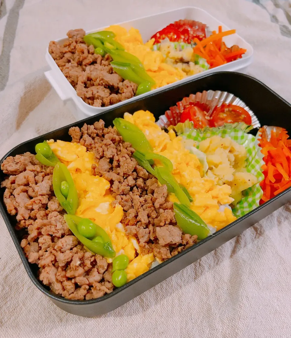 Snapdishの料理写真:豚そぼろ二色弁当|ももこさん