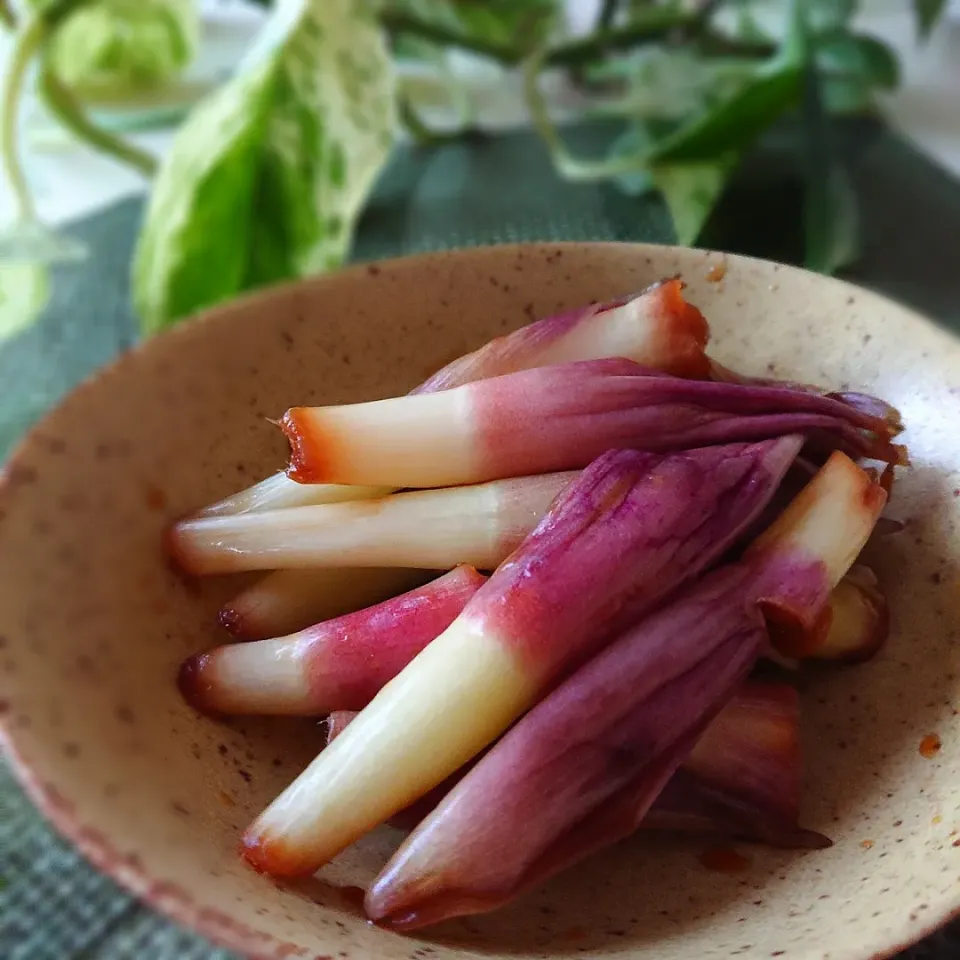 まめころさんの料理 みょうがの茎醤油漬け|ポトスさん