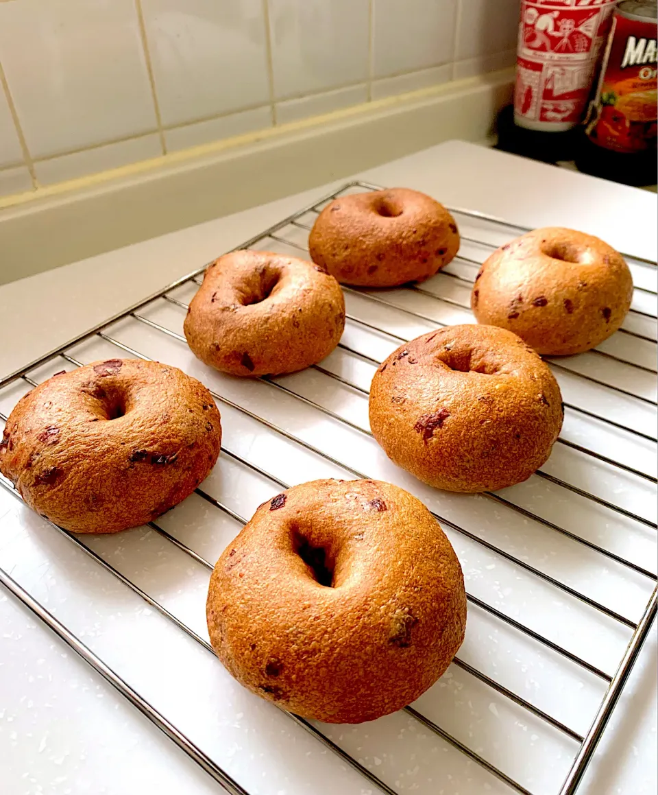 Snapdishの料理写真:Sourdough Bagels with Cranberry & Cinnamon|gonbenさん