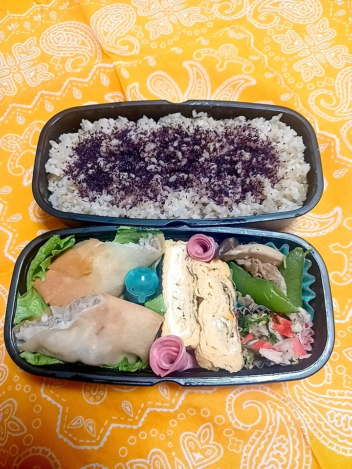 Snapdishの料理写真:2023/4/24 お弁当|naomikaさん