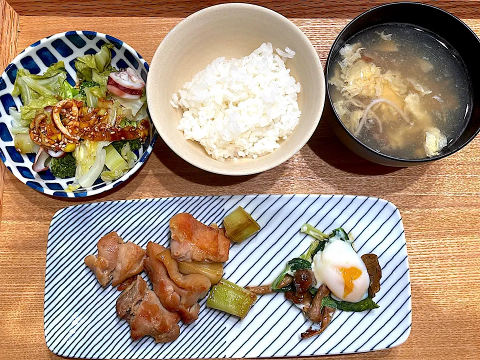 4/25晩ご飯　大人|恵美さん