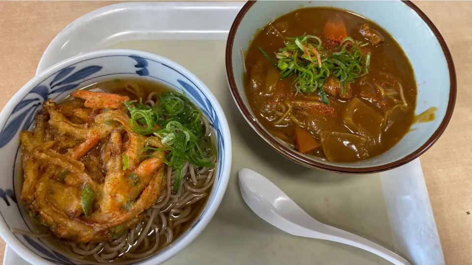 朝霧高原の道の駅でカレー蕎麦と天ぷら蕎麦|Morito Kamiyaさん