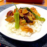 豚肉とナスの甜麺醤炒め