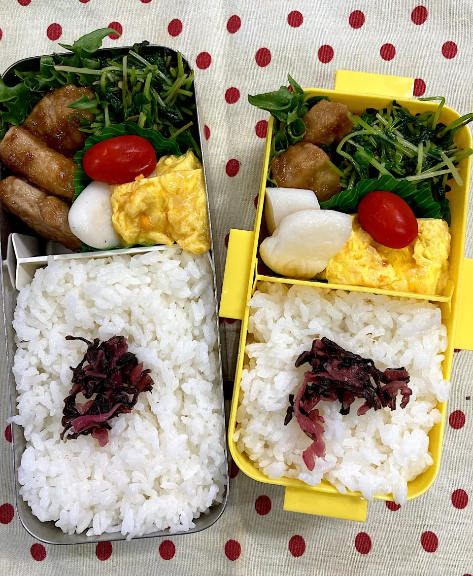 4月25日 久々雨天 寒さ再来 弁当🍱|sakuramochiさん