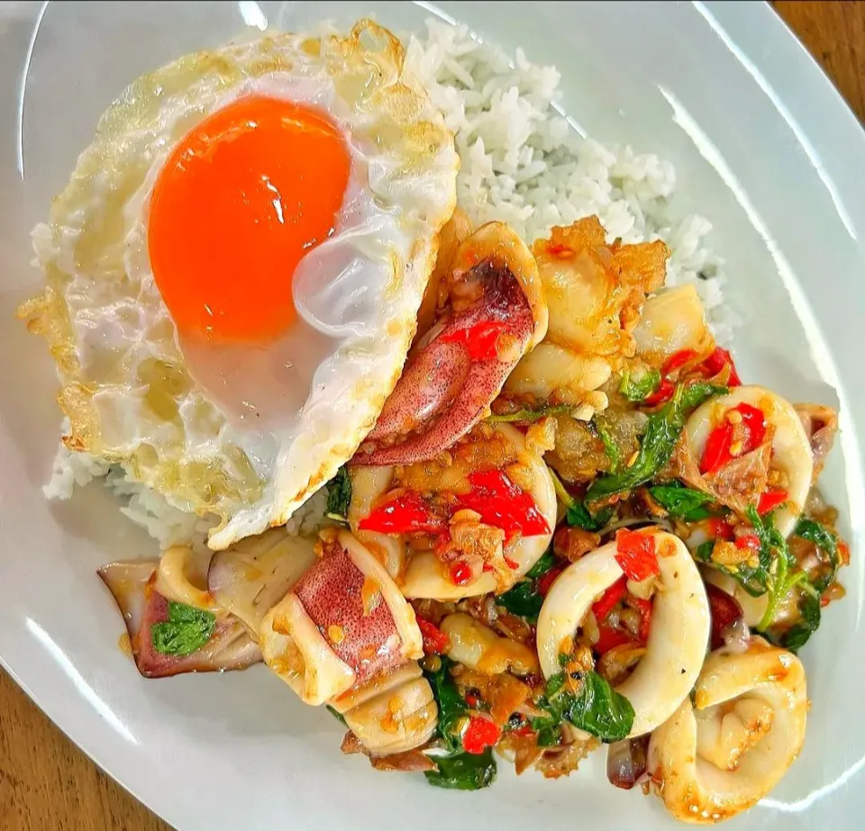 Lunch Today w/ Stir-fried Squid w/ Holy Basil & Fried Egg aka 'Pad Gaprao Pla Muek' (ผัดกะเพราปลาหมึก) 🦑🌶️🌶️🤤|An'leeさん