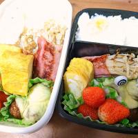 4/14お弁当