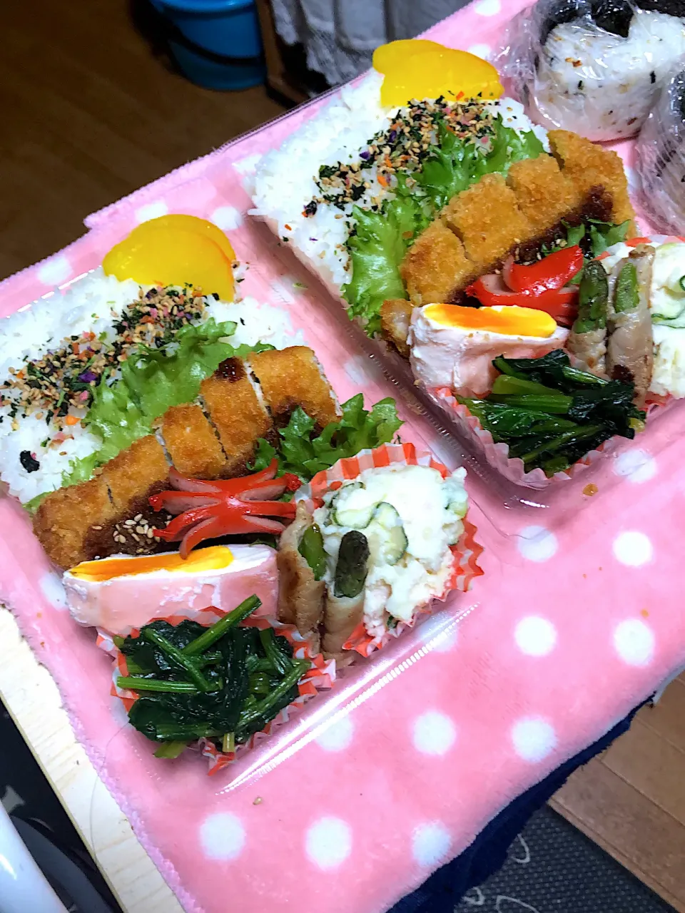 トンカツ弁当|魅耜さん