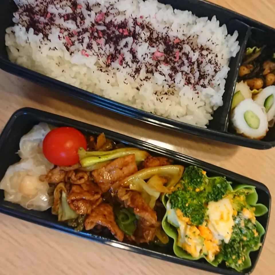 今日のお弁当
回鍋肉、ブロッコリーとゆで卵のマヨサラダ、ひじき煮、ちくわキュウリ、プチトマト、市販のエビシューマイ|momoさん