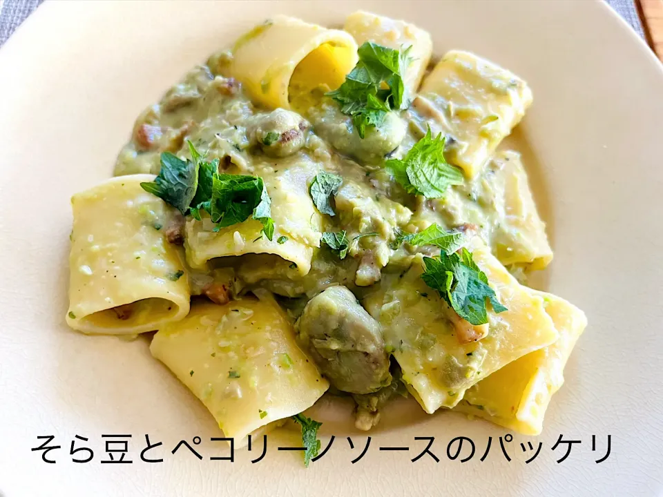 Snapdishの料理写真:そら豆とペコリーノチーズのパッケリ|amtischさん