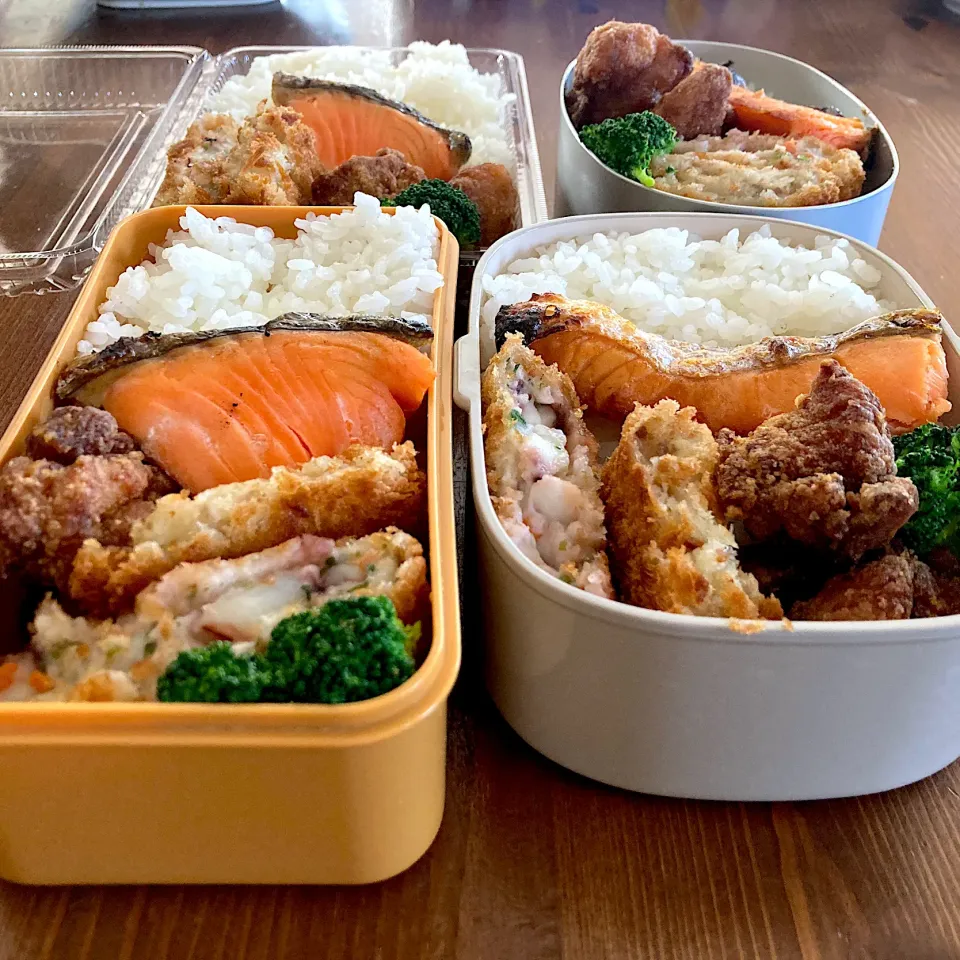 しゃけ弁当🍱|ごはんのマハさん