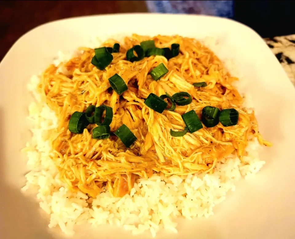 Shredded chicken breast and gravy over white rice|Travis Stoneさん